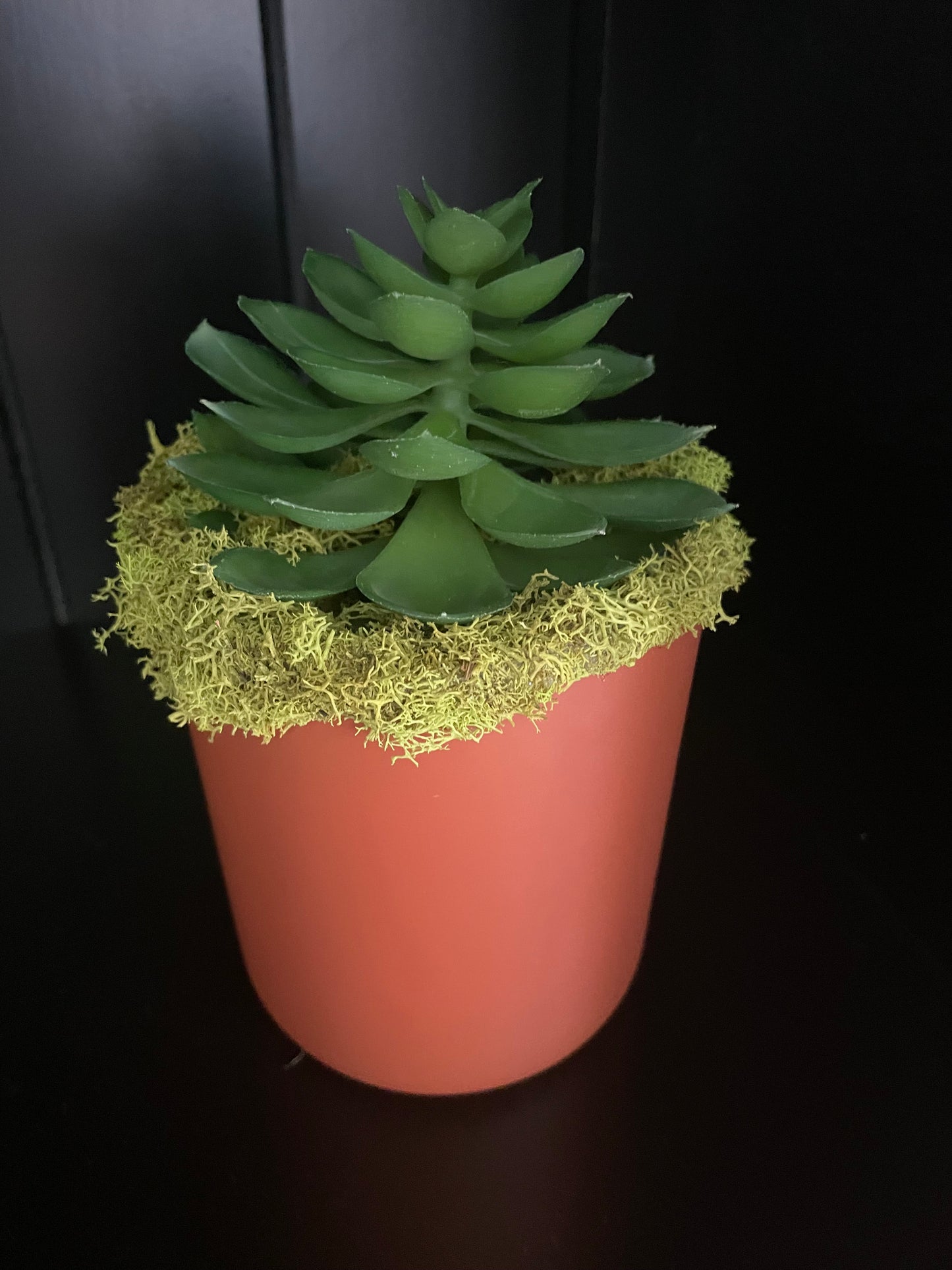 Artificial Succulent - 4