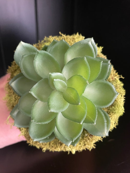 Artificial Succulent - 4